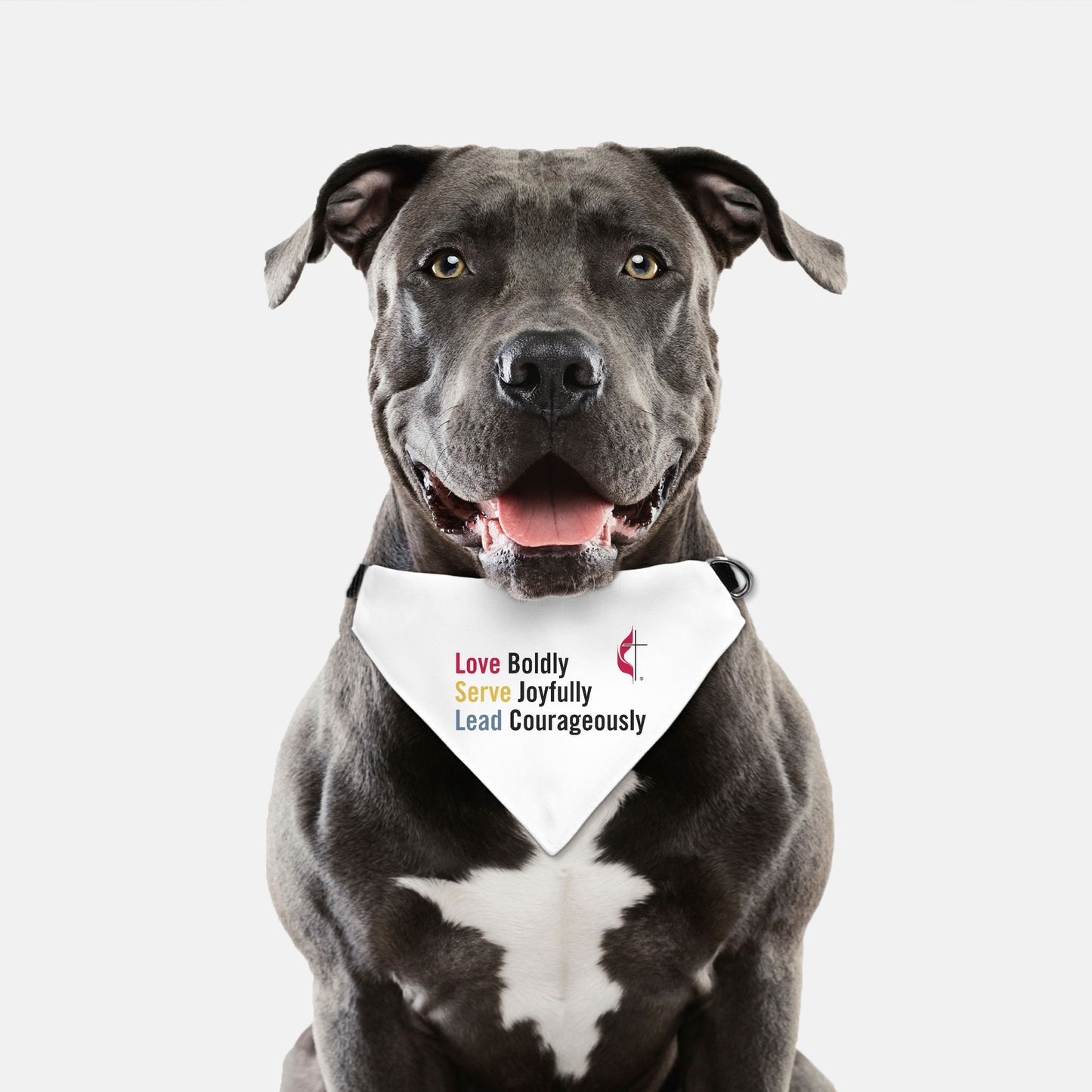 Bandana pour animaux de compagnie (L & XL)