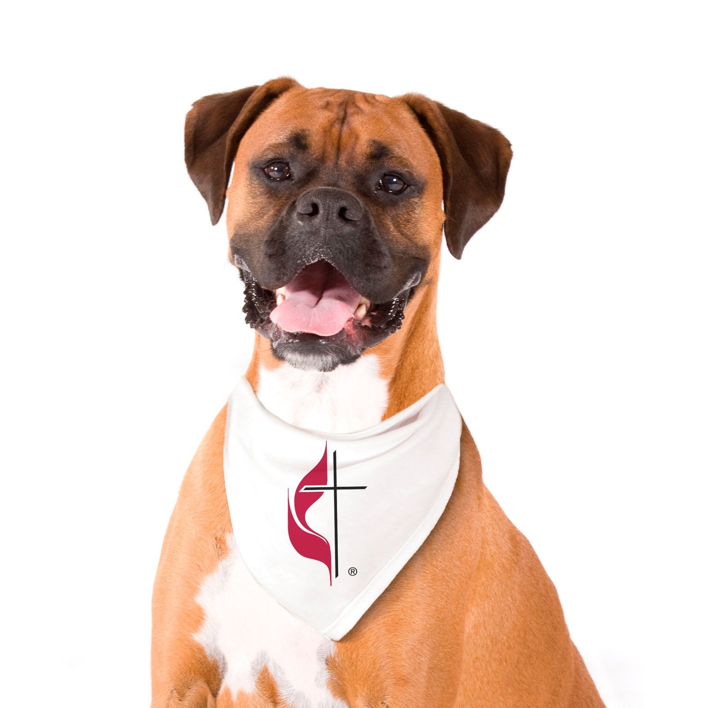 UMC Pet Bandana