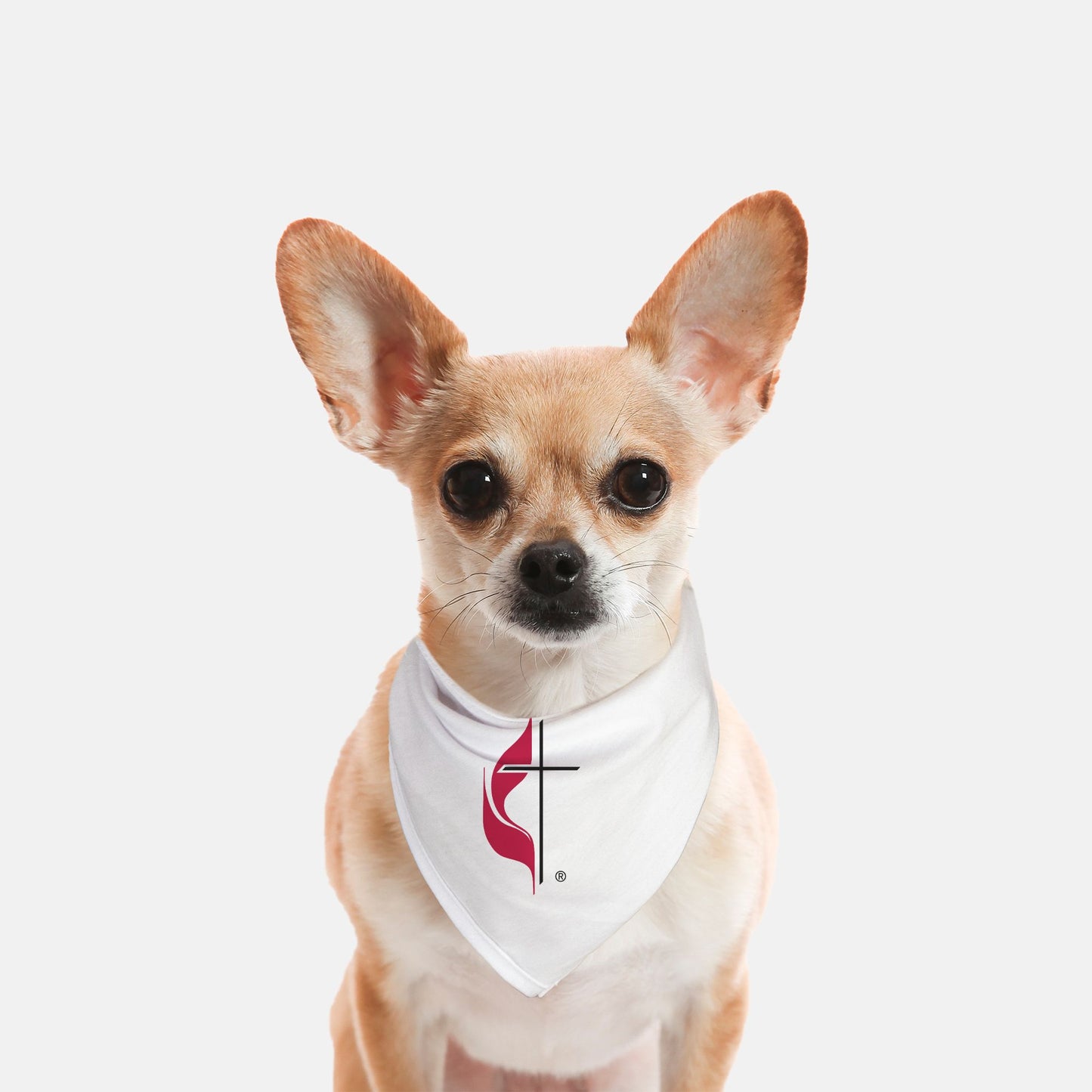UMC Small Breed Pet Bandana
